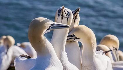 开yun官网-体育新闻中心参与制定青少年体育发展标准，关于青少年体育的文件